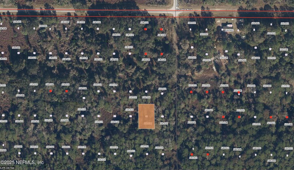234 LAISY Drive, Georgetown, FL 32139