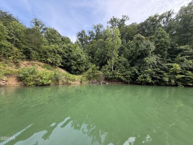 1225 Paradise Lane, Dandridge, TN 37725
