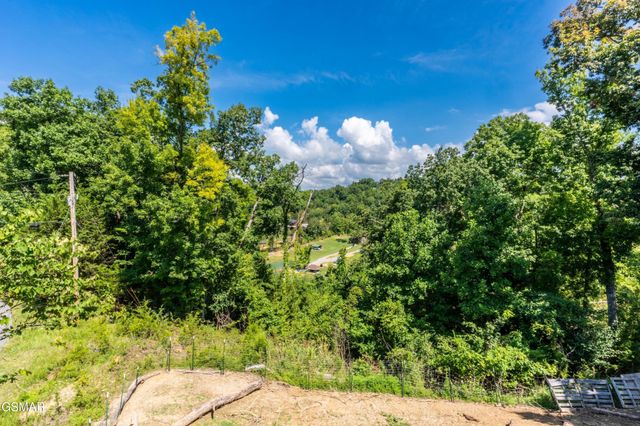 1225 Paradise Lane, Dandridge, TN 37725