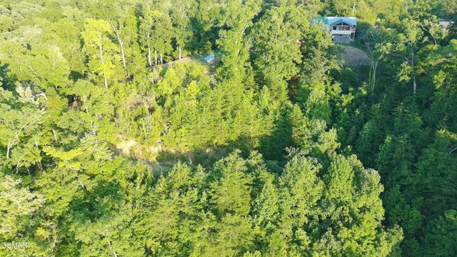 1225 Paradise Lane, Dandridge, TN 37725
