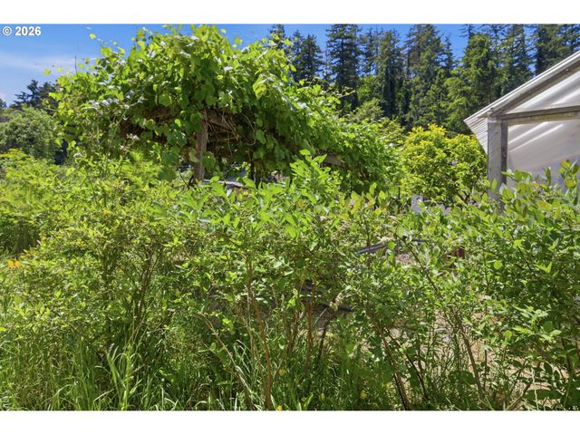 955 KELLY Blvd, Springfield, OR 97477