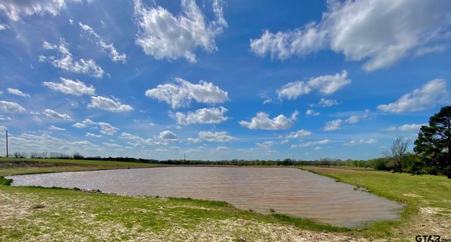 3145 W FM 1280, Lovelady, TX 75851