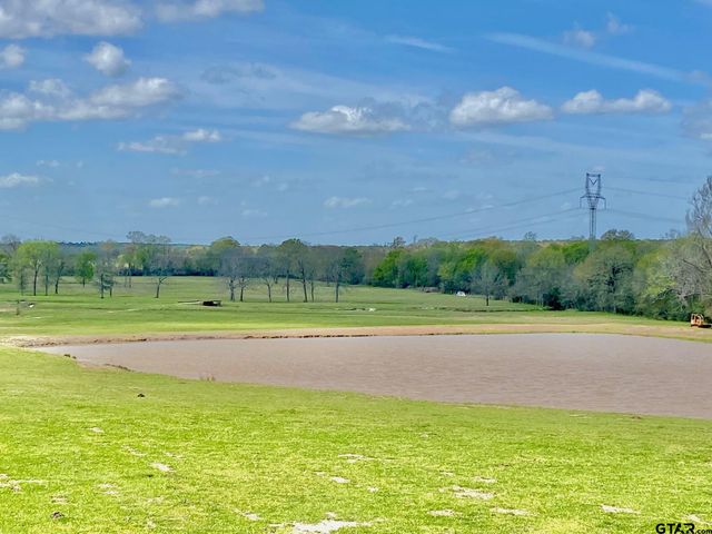 3145 W FM 1280, Lovelady, TX 75851