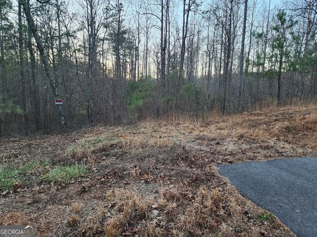 6720 Highway 382 W, Ellijay, GA 30540