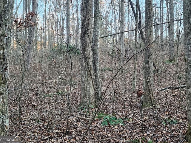 6720 Highway 382 W, Ellijay, GA 30540