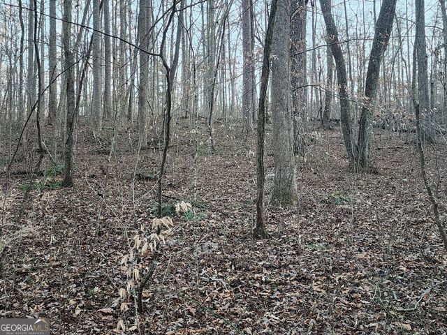 6720 Highway 382 W, Ellijay, GA 30540