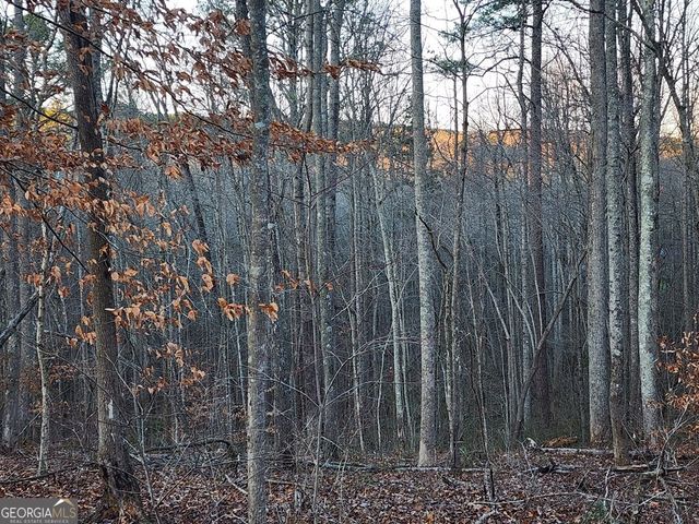 6720 Highway 382 W, Ellijay, GA 30540