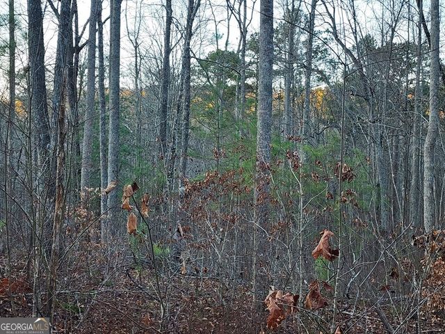 6720 Highway 382 W, Ellijay, GA 30540