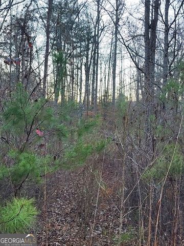 6720 Highway 382 W, Ellijay, GA 30540