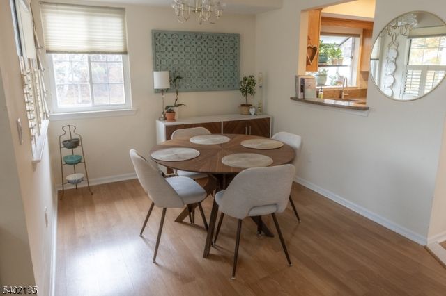 36 Encampment Drive, Bedminster Twp., NJ 07921