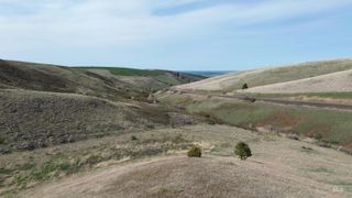 NKA Blindgrade Rd Lot 4, Pomeroy, WA 99327
