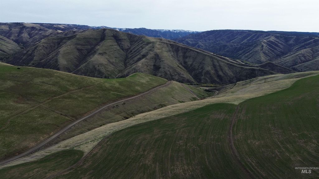 NKA Blindgrade Rd Lot 4, Pomeroy, WA 99327 photo 12