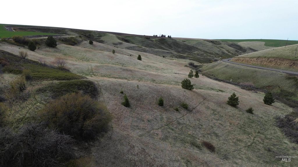 NKA Blindgrade Rd Lot 4, Pomeroy, WA 99327 photo 6