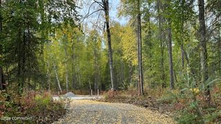 26660 S Talkeetna Spur Road, Talkeetna, AK 99676