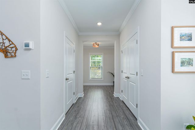 221 Ansonborough Road Road, Columbia, SC 29229