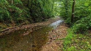 0 Furnace Hollow Road, Dickson, TN 37055