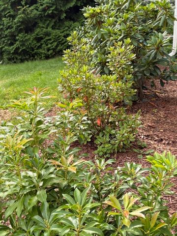 16 Clark, Belchertown, MA 01700
