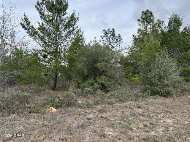 XXX Fairbanks Drive, Chipley, FL 32428