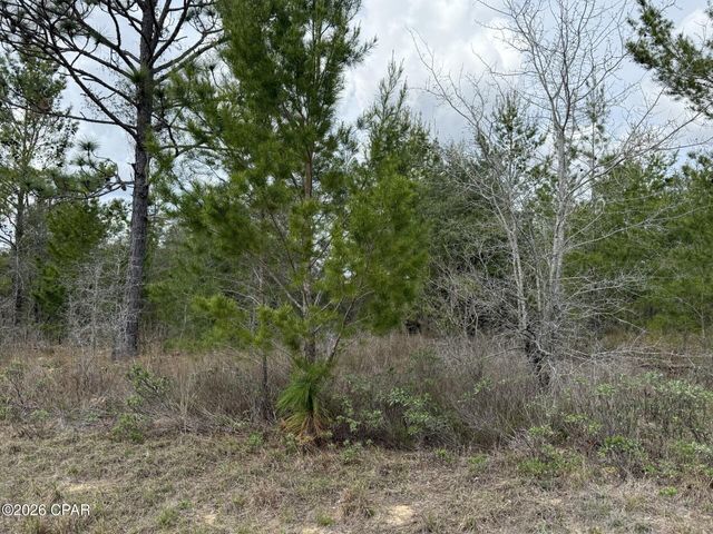 XXX Fairbanks Drive, Chipley, FL 32428