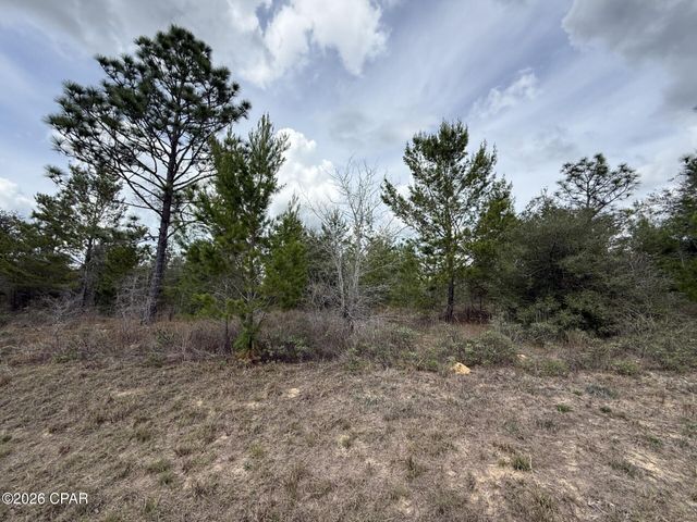 XXX Fairbanks Drive, Chipley, FL 32428