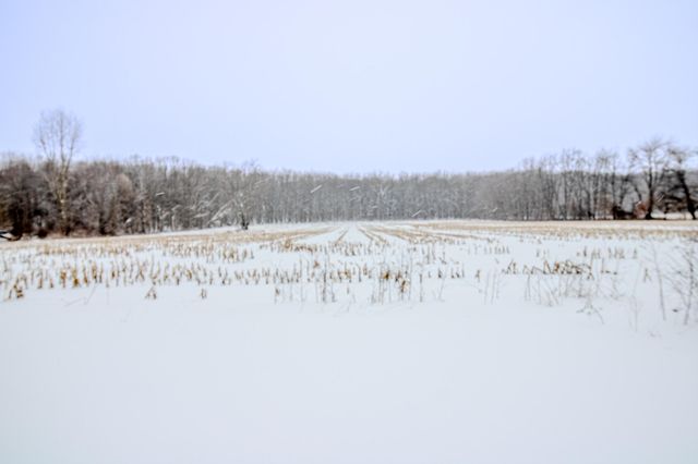 8830 S 43rd Street, Climax Twp, MI 49088