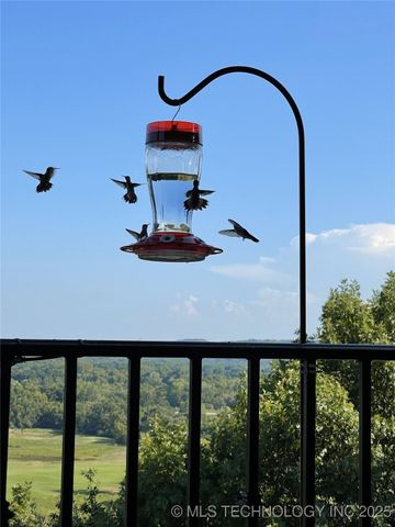 5879 N Eagle Summit Road, Owasso, OK 74055