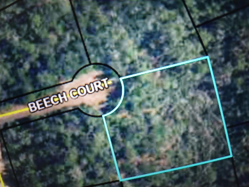 000 Beech Court, Alford, FL 32420