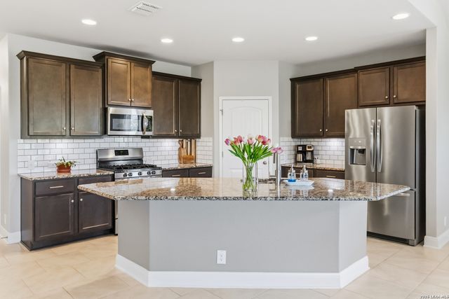 303 Rose Spoonbill, San Antonio, TX 78253