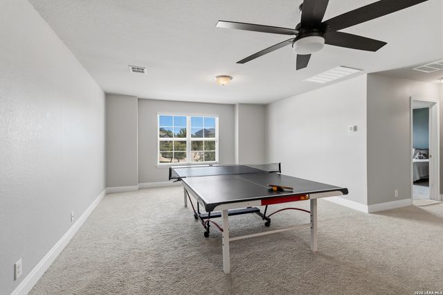303 Rose Spoonbill, San Antonio, TX 78253