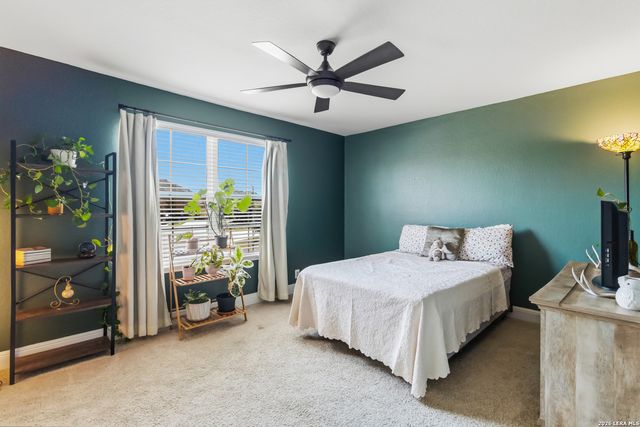 303 Rose Spoonbill, San Antonio, TX 78253