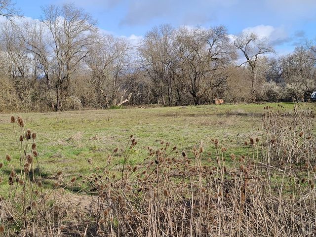 75589 Covelo Rd, Covelo, CA 95428