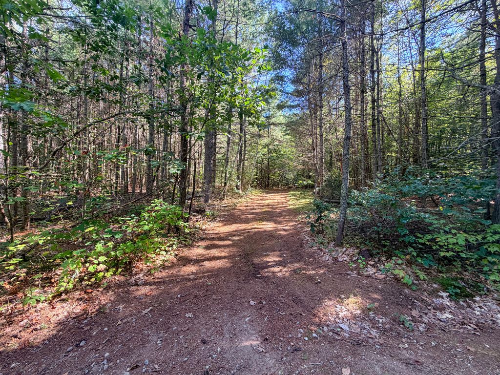 Lot 5 Laroche Drive, Alfred, ME 04002 — photo 2