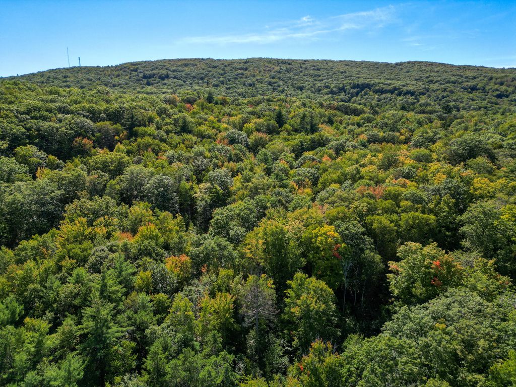 Lot 5 Laroche Drive, Alfred, ME 04002 — photo 5