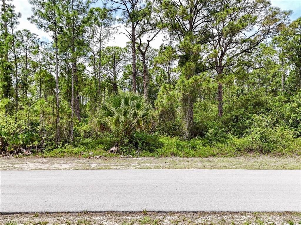 2117 Grayson AVE, ALVA, FL 33920 — photo 2