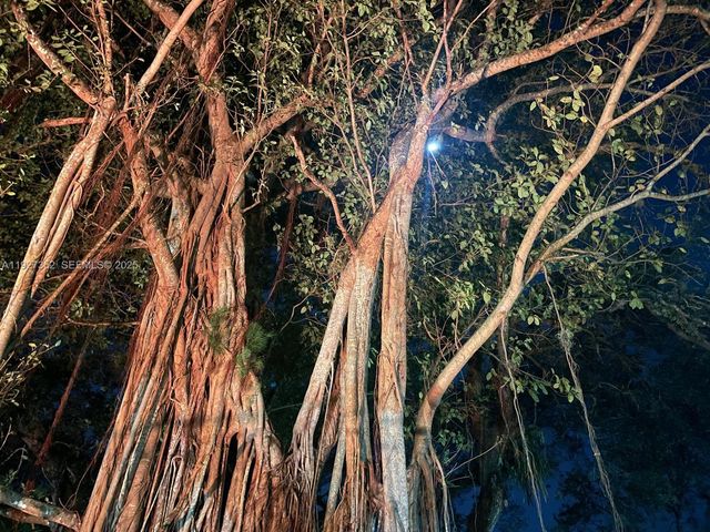 601 Ives Dairy Rd 403-8, Miami, FL 33179