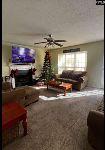 117 Waterville Drive, Columbia, SC 29229