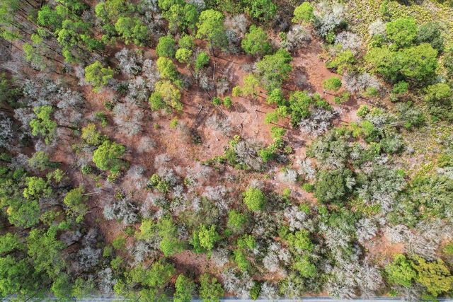 9568 N DAWNFLOWER AVENUE, Crystal River, FL 34428