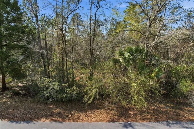 9568 N DAWNFLOWER AVENUE, Crystal River, FL 34428
