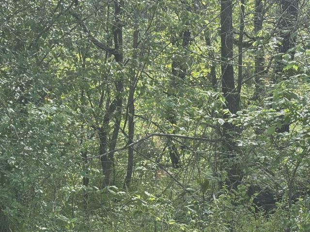 519 Highway 48, S, Centerville, TN 37033
