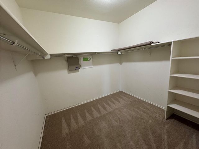 19325 Pencil Cactus DR, Pflugerville, TX 78660