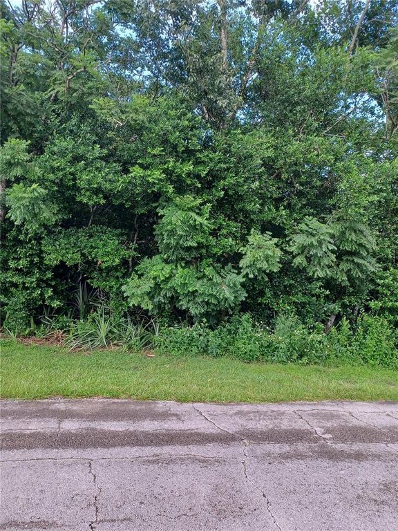2265 BANBURY AVENUE, Deltona, FL 32725