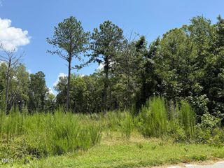 2210 Harris Road, Rougemont, NC 27572