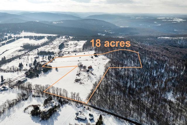 161 Ridge Road, Hamden, NY 13782