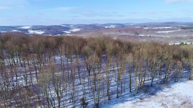 161 Ridge Road, Hamden, NY 13782