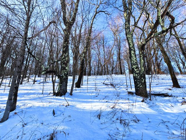 161 Ridge Road, Hamden, NY 13782