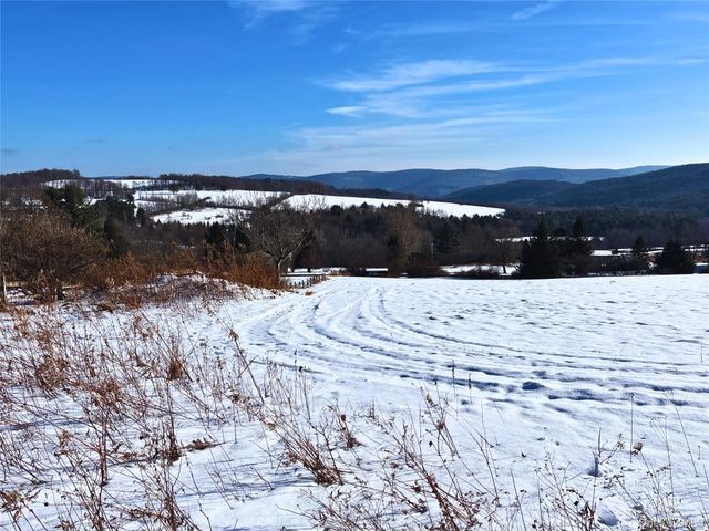 161 Ridge Road, Hamden, NY 13782