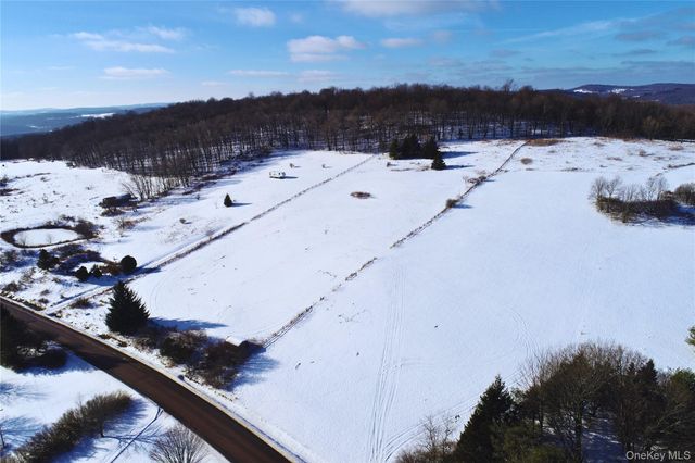 161 Ridge Road, Hamden, NY 13782