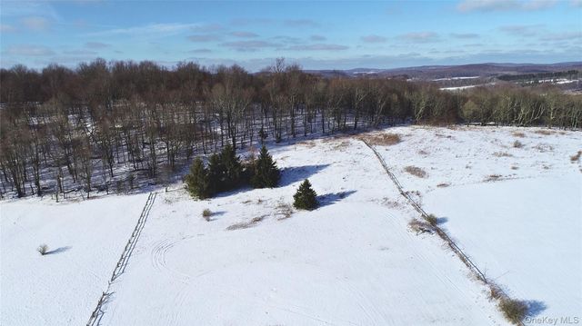 161 Ridge Road, Hamden, NY 13782