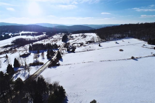 161 Ridge Road, Hamden, NY 13782