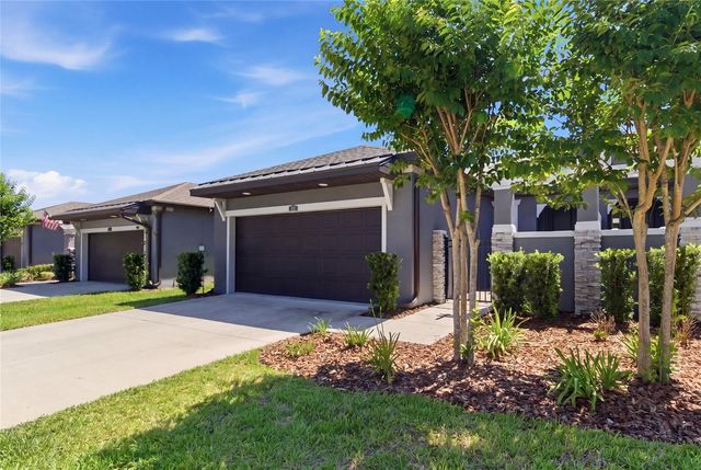 219 VILLA LUNA LANE, Lutz, FL 33549